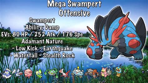 mega swampert build|best swampert build.